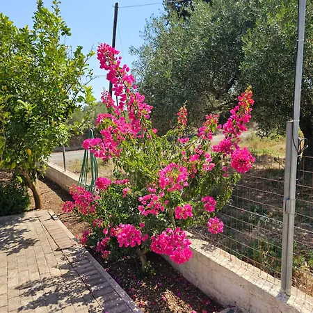 Natura Apartamento *